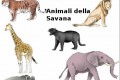 Scheda tematica : Animali della Savana