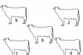 Numeri : disegniamo le macchie alle mucche