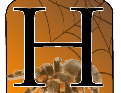 Halloween : Barattoli con scritta da appendere
