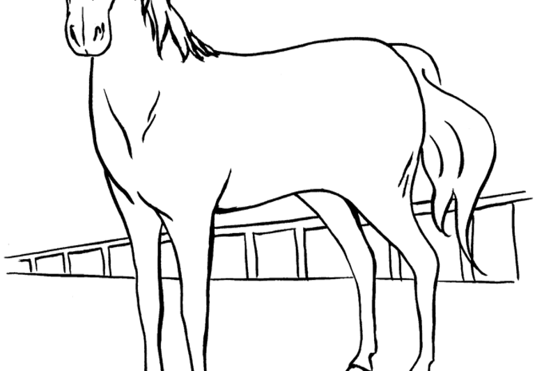 Disegni da colorare: i Cavalli