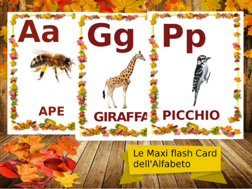 Maxi Flash Card da appendere