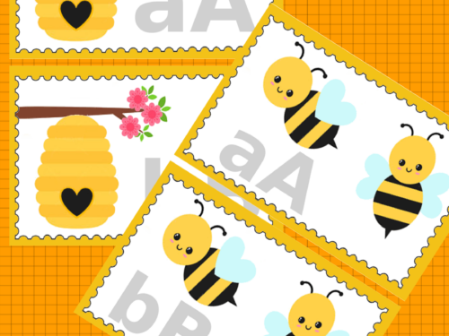 Didattica: Le flash card delle api