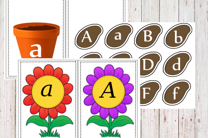 I fiori e le lettere dell’alfabeto
