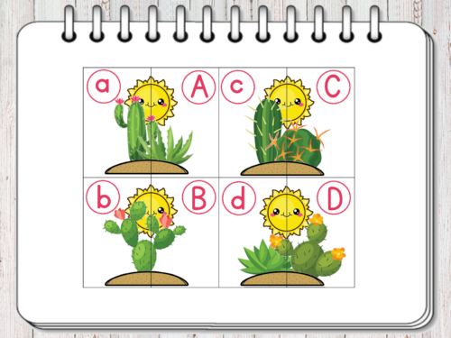 I cactus dell’alfabeto