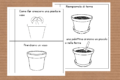 Scienze: Come far crescere una pianta in vaso