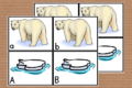L'alfabeto degli orsi polari
