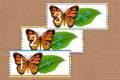 Da 1 a 20 i numeri delle farfalle