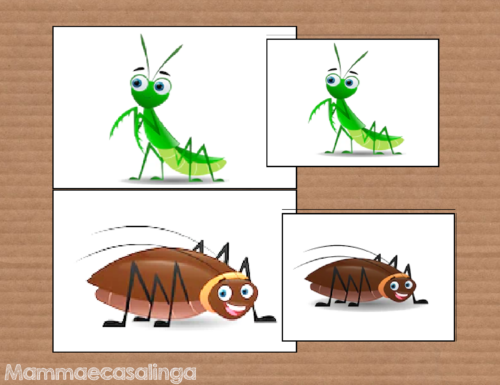 Il gioco degli insetti