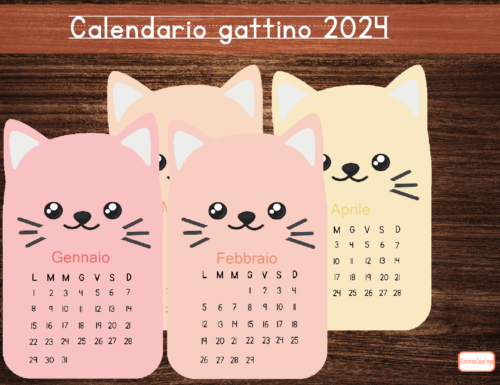 Calendario 2024 dedicato ai gattini