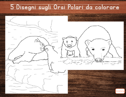 5 Disegni da colorare dedicati agli Orsi Polari